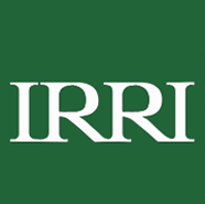 International Rice Research Institute (IRRI)